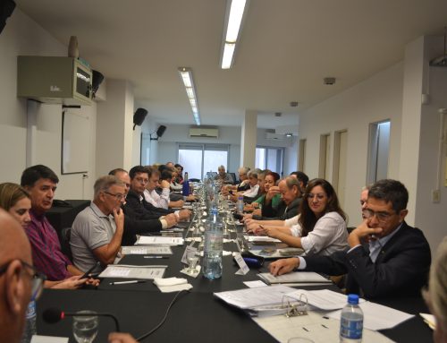 Realizamos la Asamblea General Ordinaria de FEDER